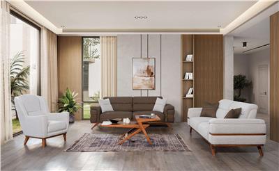 Çizgi Koltuk Takımı V1