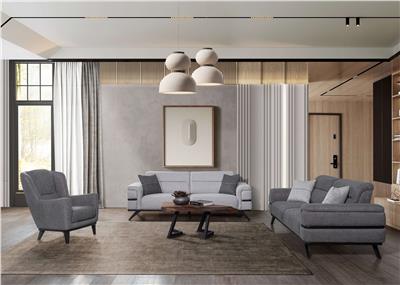 Çizgi Koltuk Takımı V2