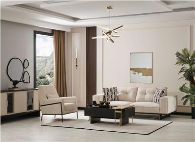 Elis Koltuk Takımı