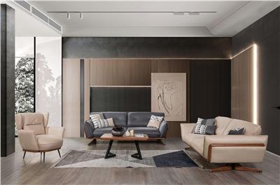 Fiona Koltuk Takımı V2