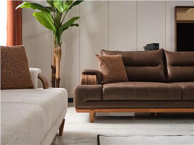 Monza Koltuk Takımı