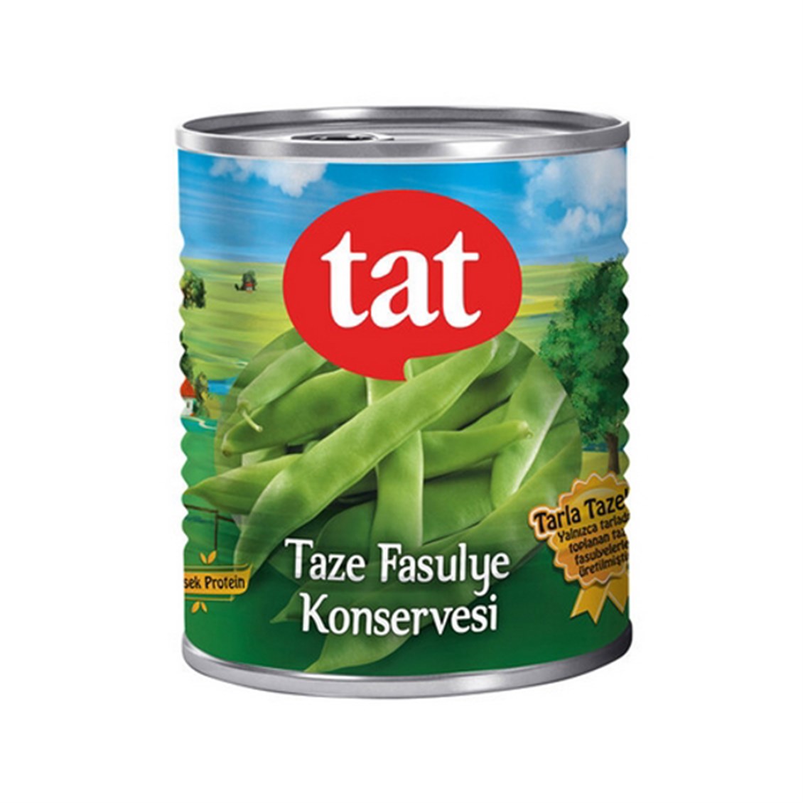 Tat Taze Fasulye Konservesi 810 Gr Teneke