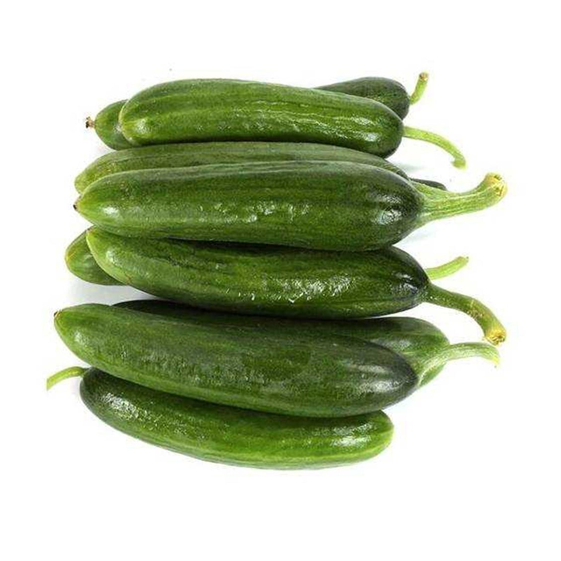 Çengelköy Salatalık Kg