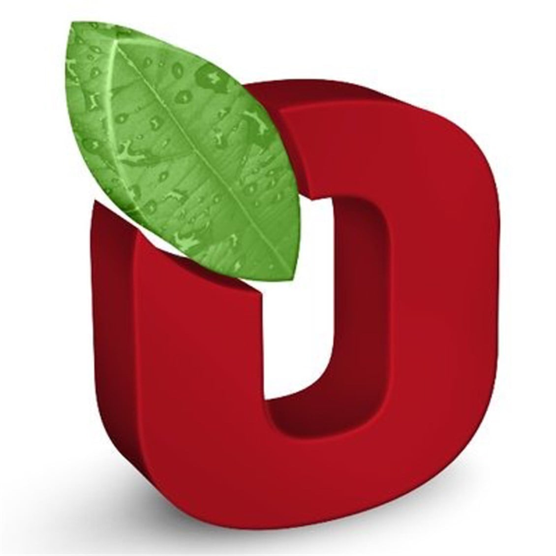 Ponpon Desenli Porselen Kupa