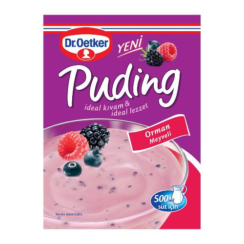 Dr.Oetker Puding Orman Meyveli 120 Gr