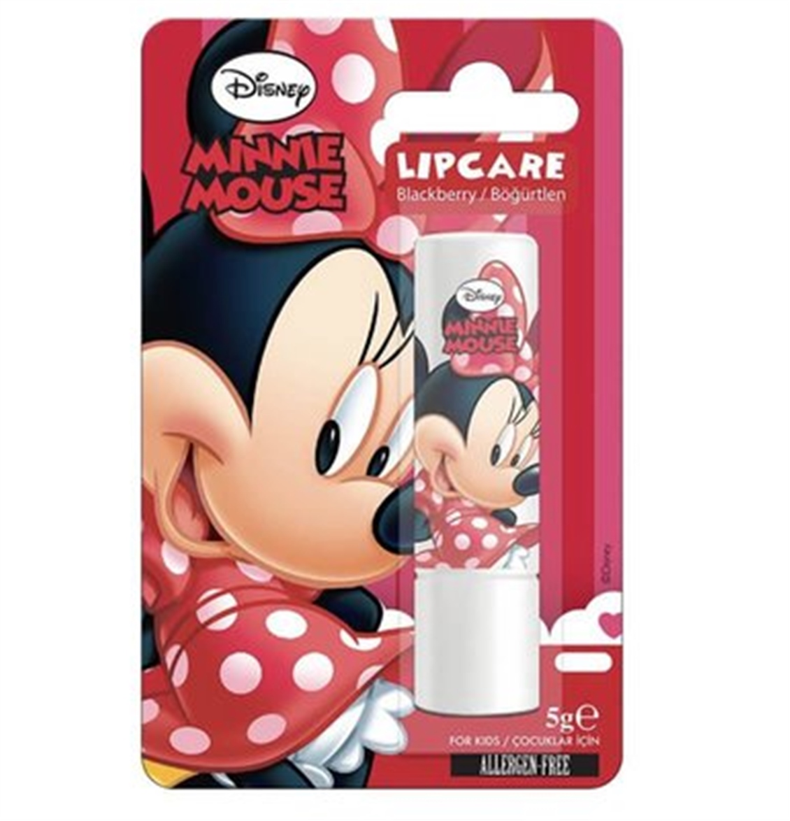  LIPCARE MINNIE BOGURTLENLI 5GR 