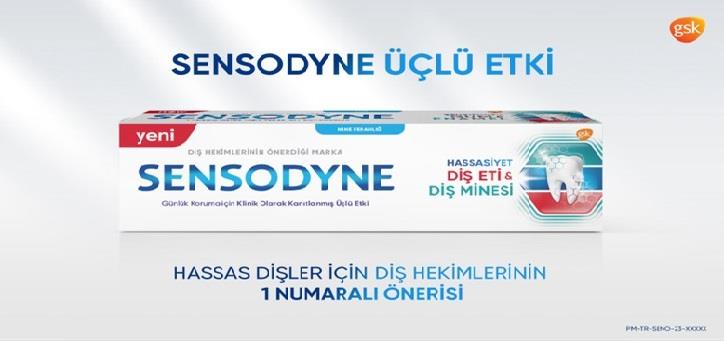 Sensodyne Diş Macunu Hasssiyet Diş Eti ve Diş Minesi 75 ml