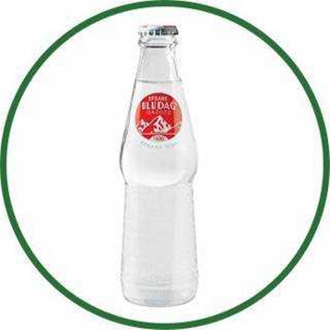  ULUDAG GAZOZ 250ML 