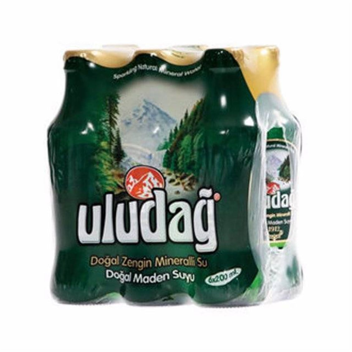 Uludağ Zengin Mineralli Maden Suyu 6x200 ml