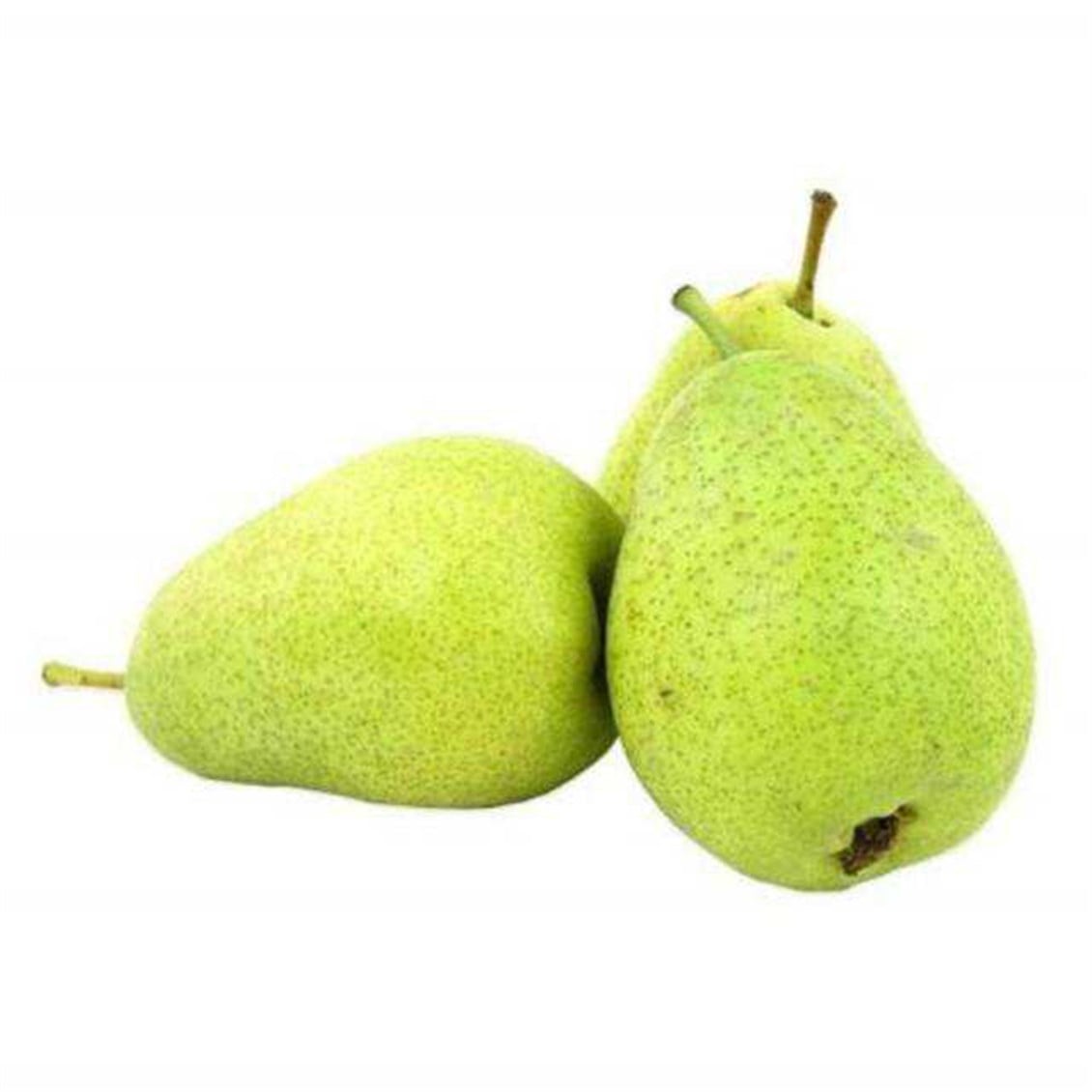 Armut Margarit Kg