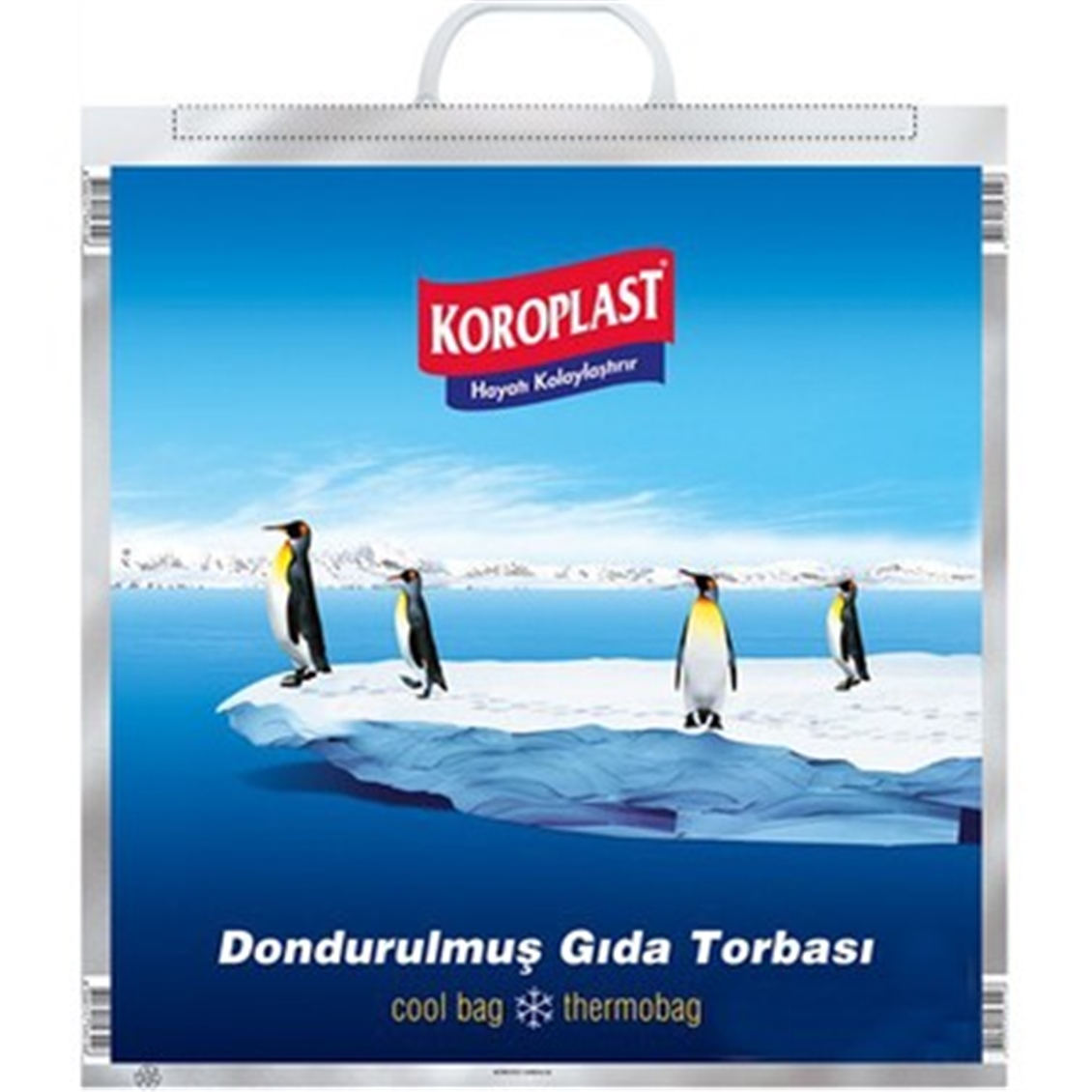  G.KOROPLAST DONDURULMUS GIDA POSETI 