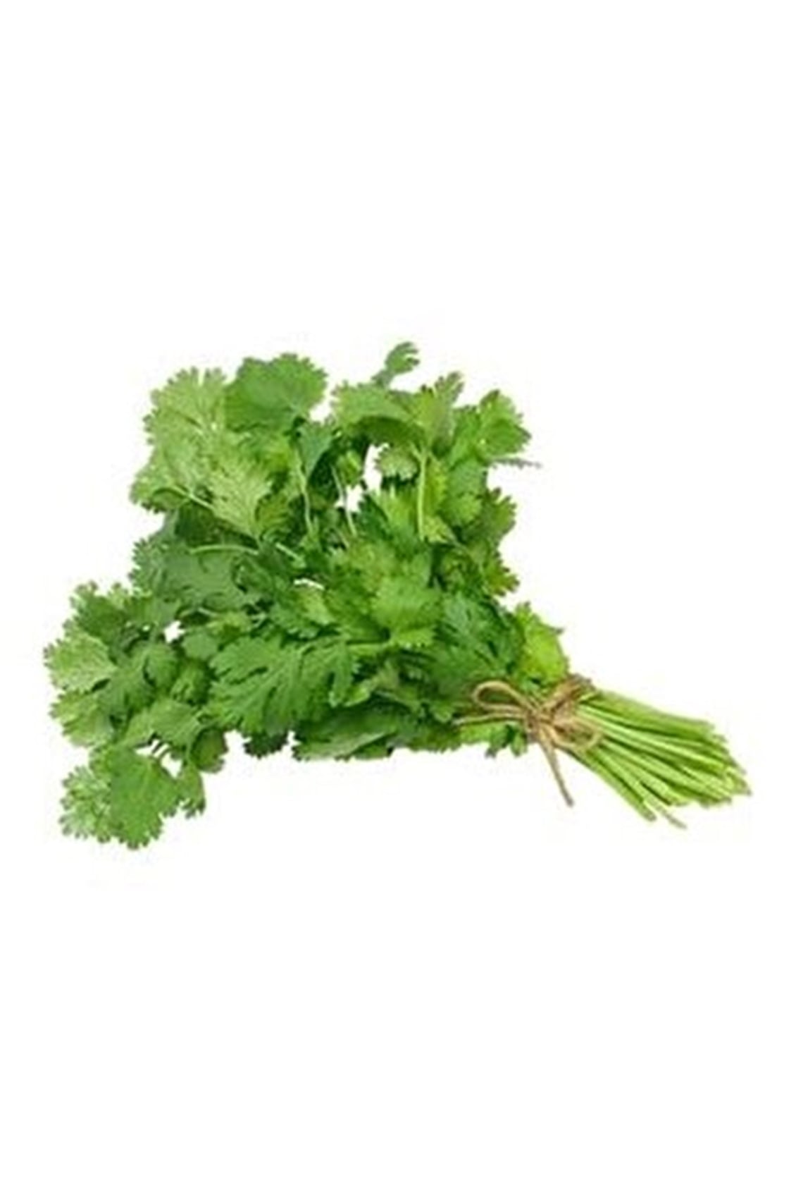 Kısnıs 25 Gr Paket