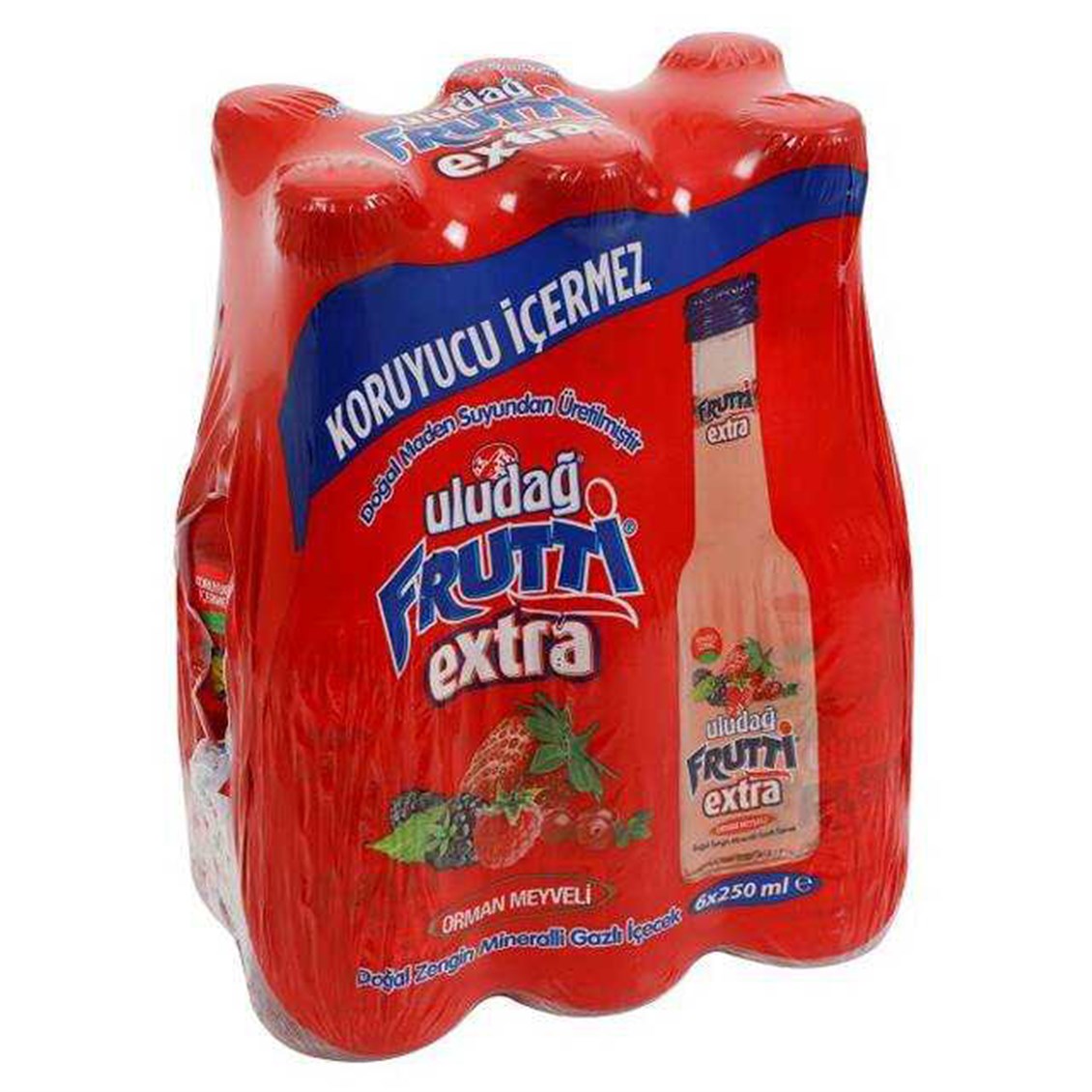 Uludağ Frutti Extra Orman Meyveli 6x250 ml