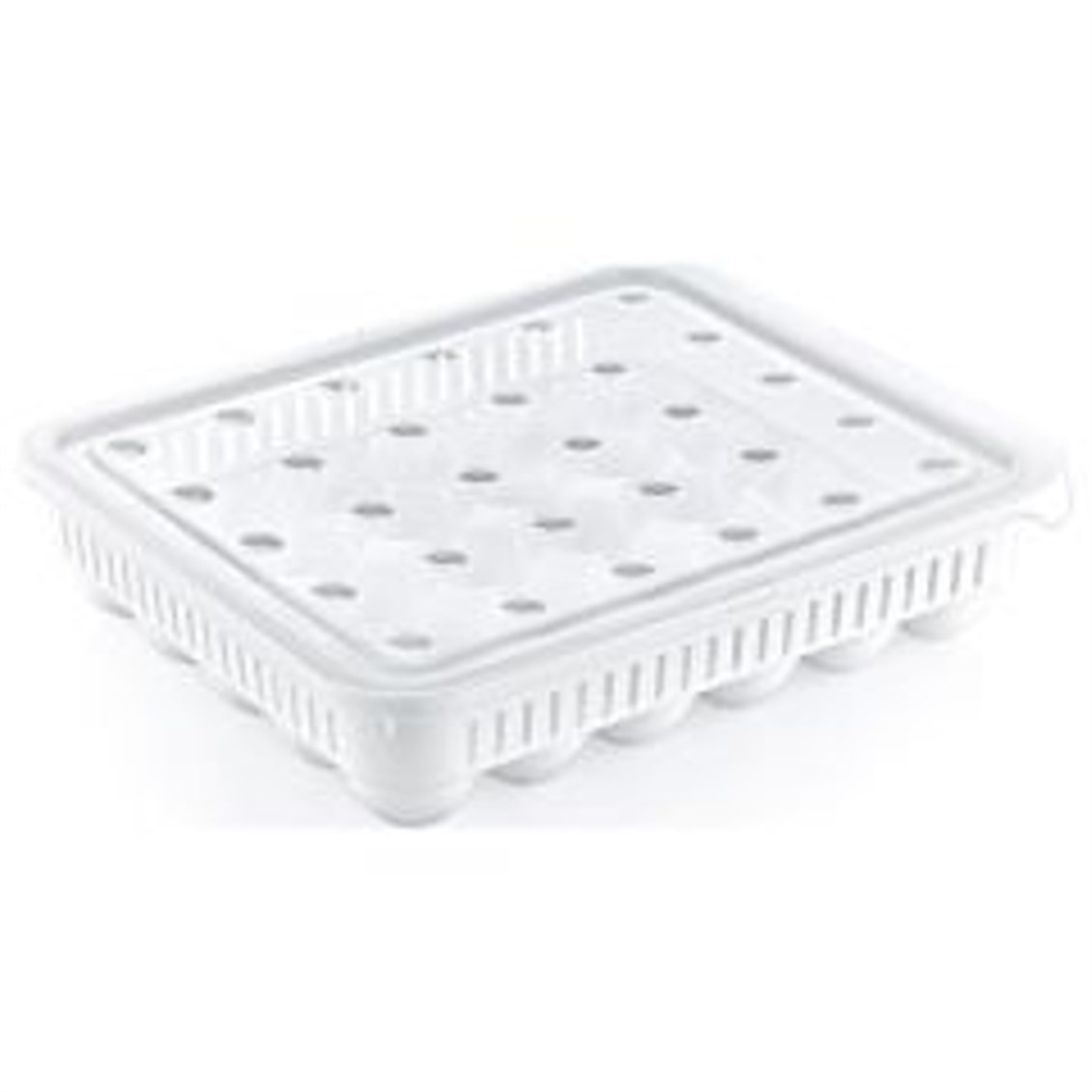 Hobby Life Yumurta Saklama Kabı 30 lu
