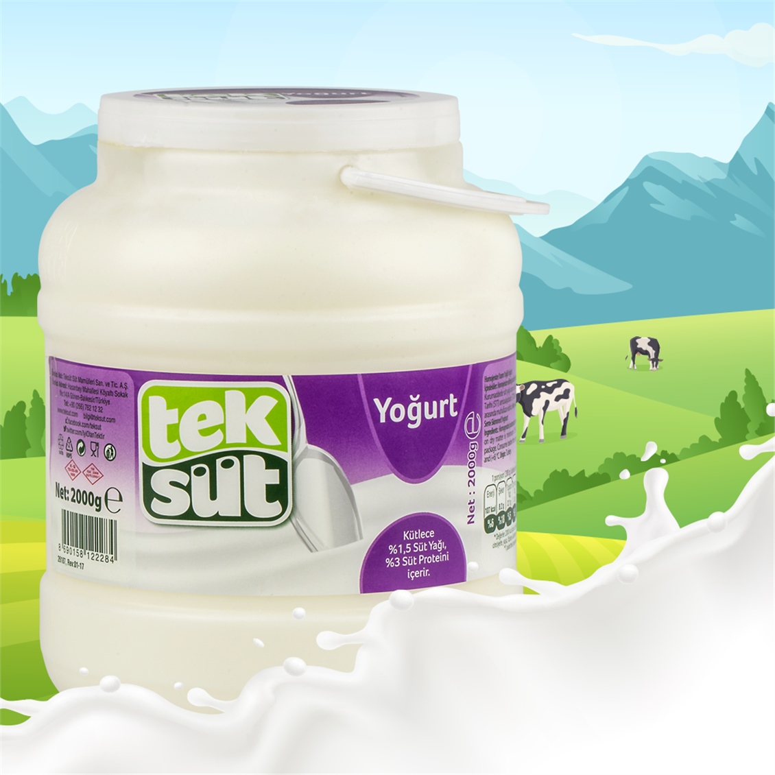  TEKSUT BIDON YOGURT 2000 GR 