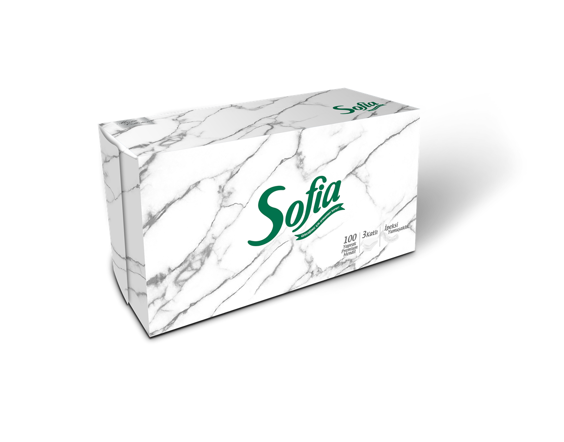 Sofia Kutu Mendil 100'Lü