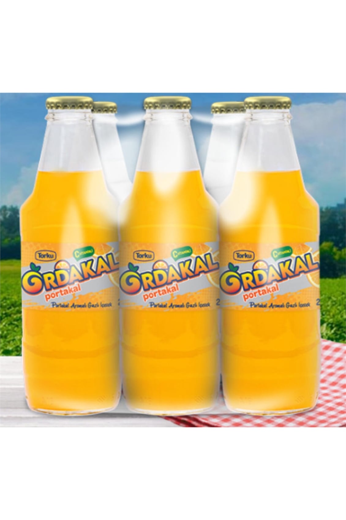  TORKU ORDAKAL 6*250ML CAM 