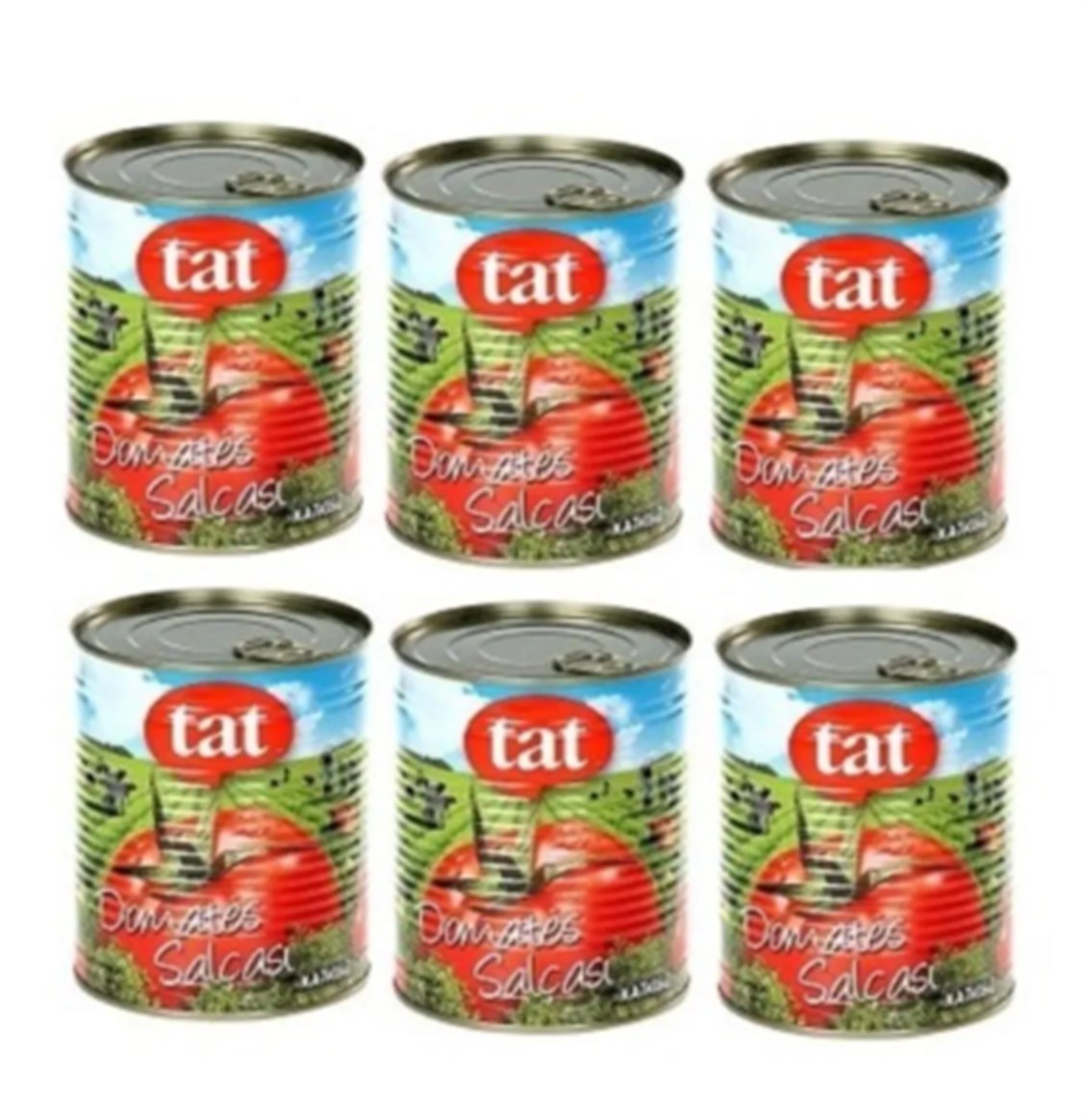 ETC.TATSALÇA830GRX6ADET
