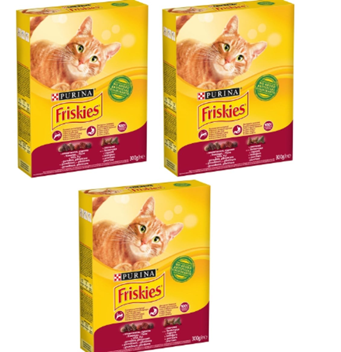 ETCFRISKIESKEDIMAMASIETLI300GRX3