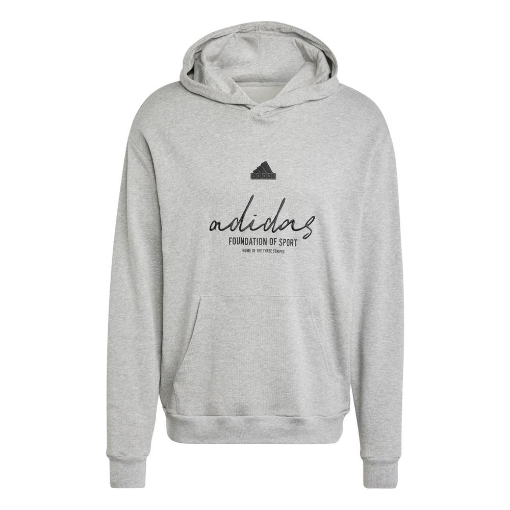 Adidas BL FT HD Q3 IX1316 Gri Sweatshirt