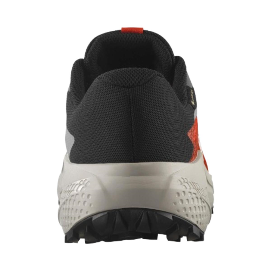 Salomon Alphaglide Gtx L47975300 Gri Koşu&Yürüyüş Ayakkabısı