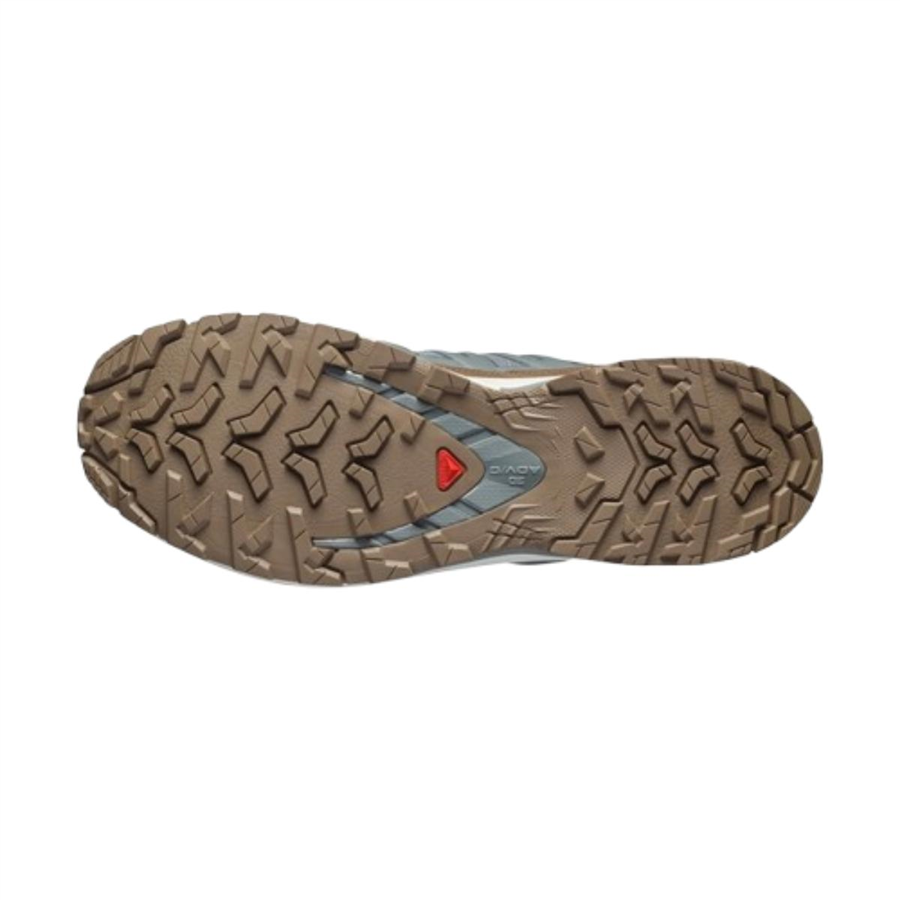 Salomon Xa Pro 3D V9 Gtx Lifelong M L49296100 Gri Outdoor Ayakkabı