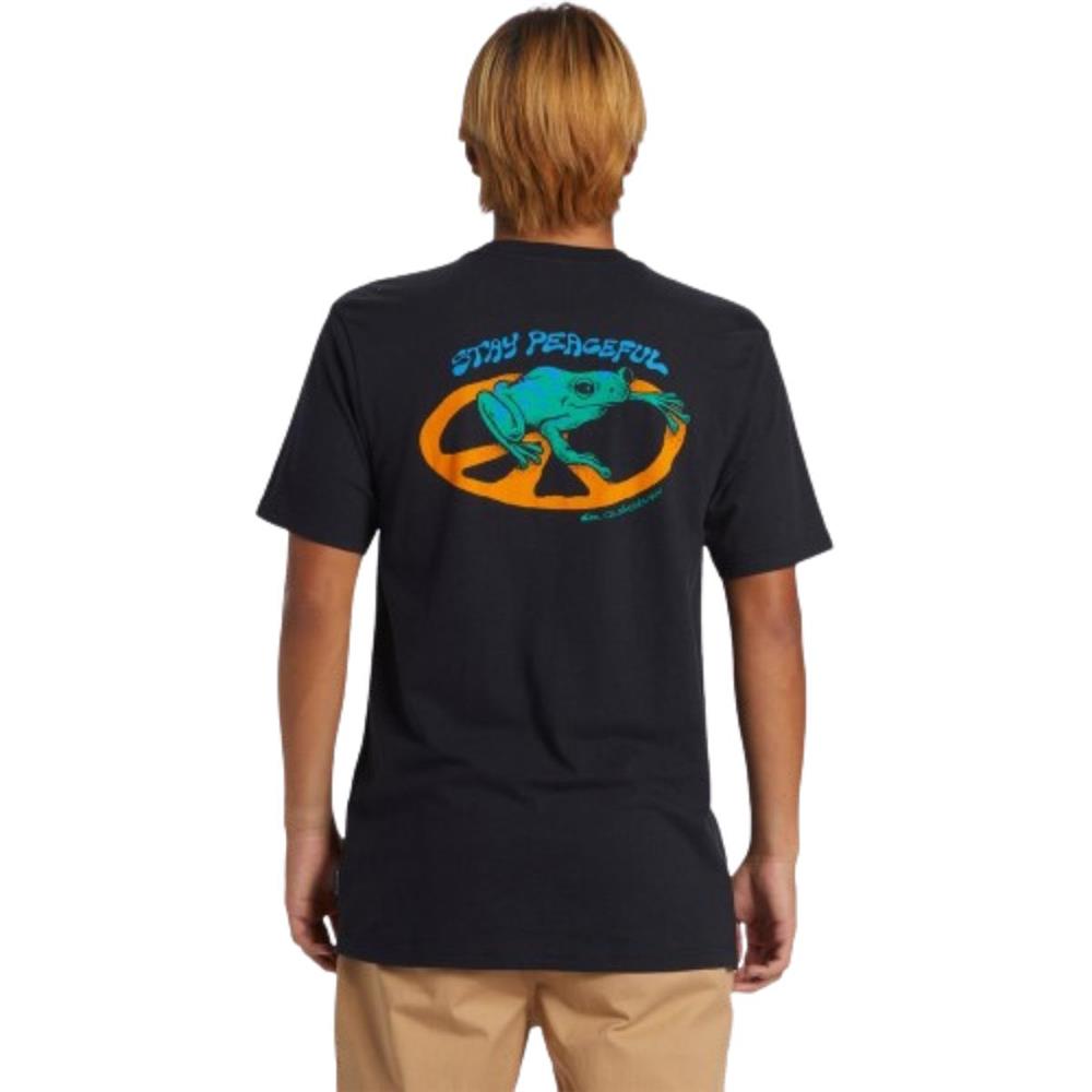 Quiksilver Stay Peaceful Moe AQYZT09541-10010 Siyah Tişört