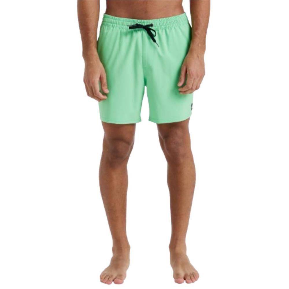 Quiksilver Surfsilk Solid Volley 16 EQYJV04118-GGJ9 Yeşil Şort