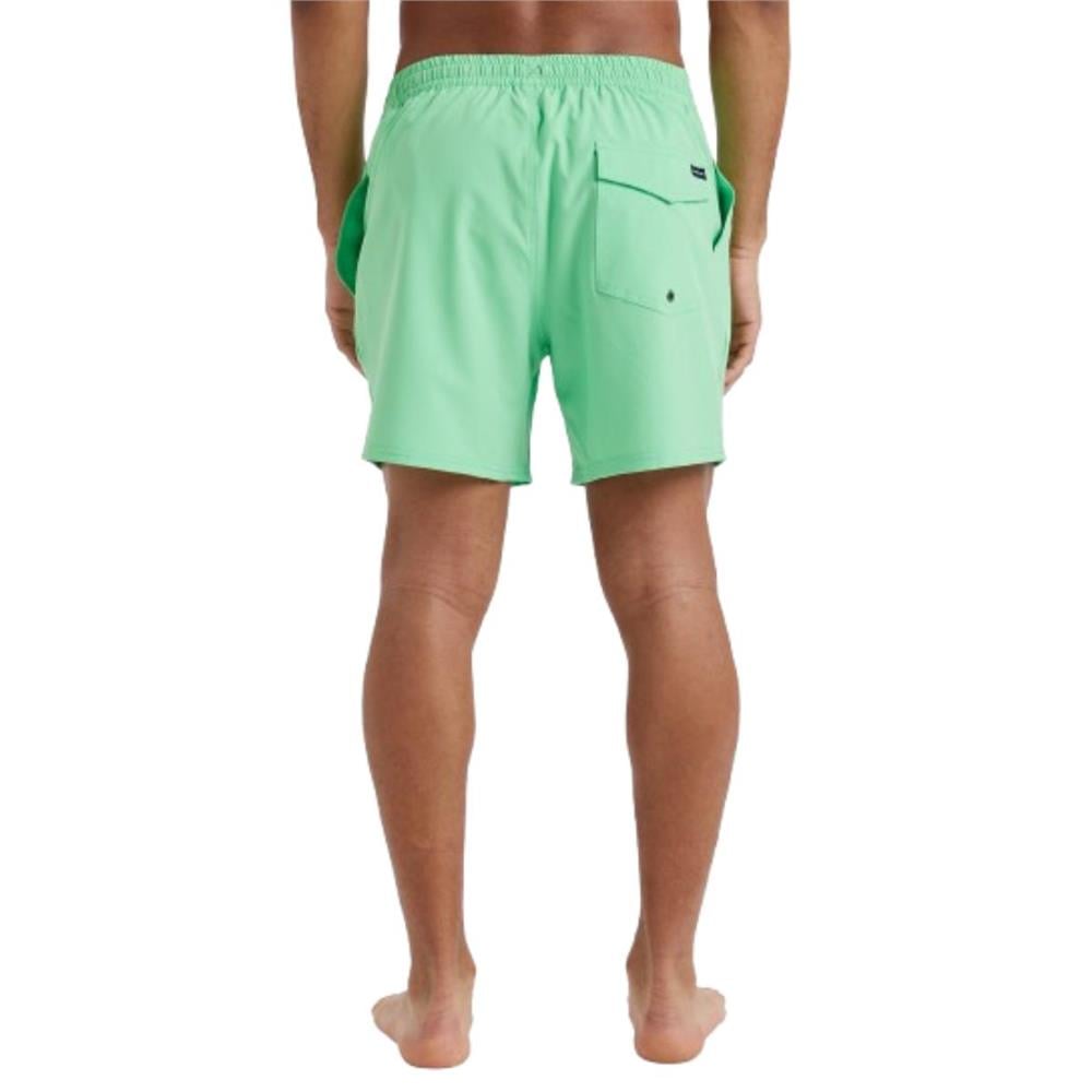 Quiksilver Surfsilk Solid Volley 16 EQYJV04118-GGJ9 Yeşil Şort