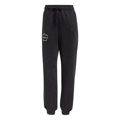 Adidas W BLUV Q3 PT IY1474 Siyah Eşofman Altı