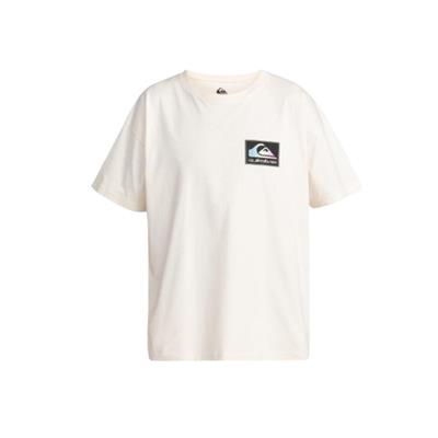 Quiksilver Back Flash Ss EQYZT07605-11492 Gri Tişört