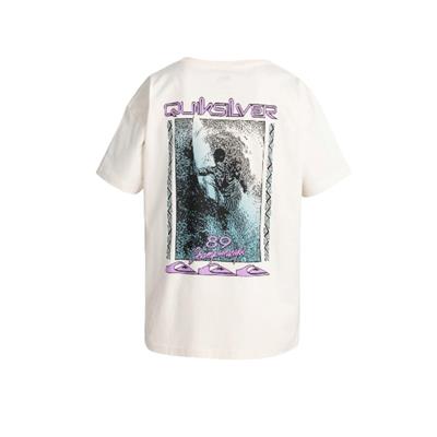 Quiksilver Back Flash Ss EQYZT07605-11492 Gri Tişört