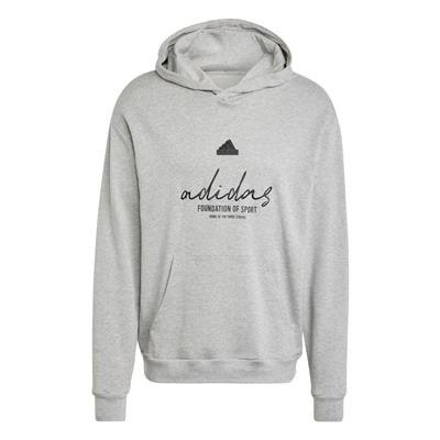 Adidas Bl Ft Hd Q3 IX1316 Gri Sweatshirt