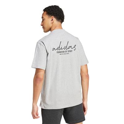 Adidas Bl Sj T Q3 IW3541 Gri Tişört