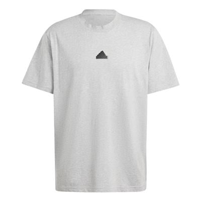 Adidas Bl Sj T Q3 IW3541 Gri Tişört