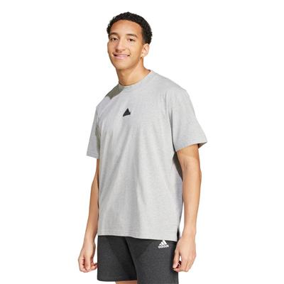 Adidas Bl Sj T Q3 IW3541 Gri Tişört