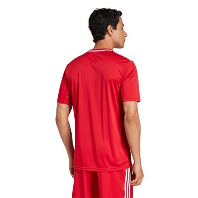 Adidas Campeon25 Jsy M JF6058 Kırmızı Tişört