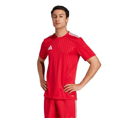 Adidas Campeon25 Jsy M JF6058 Kırmızı Tişört