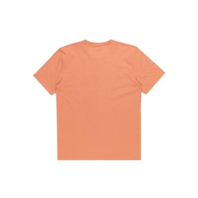 Quiksilver Comp Logo Ss EQYZT07658-MJR0 Kahverengi Tişört