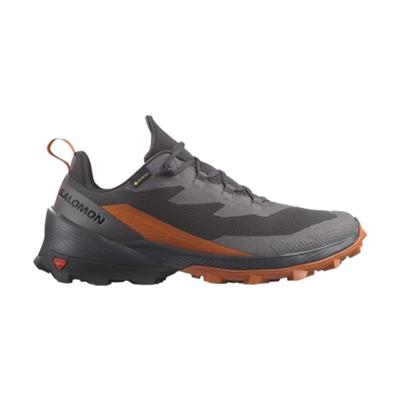 Salomon Cross Over 2 Gtx L47265000 Siyah Outdoor Ayakkabı