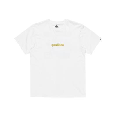 Quiksilver Ev Dısconnect Effects Ss EQYZT08049-908 Beyaz Tişört