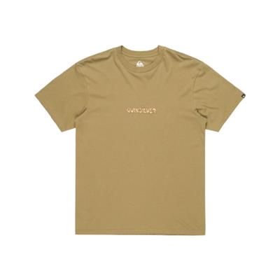 Quiksilver Ev Dısconnect Effects Ss EQYZT08049-26114 Yeşil Tişört