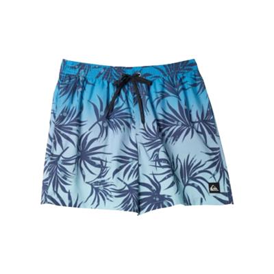 Quiksilver Everyday Mix Volley 15 AQYJV03147-24974 Mavi Şort