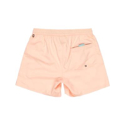 Quiksilver Everyday Solıd Volley 15 EQYJV04120-MEF0 Pembe Şort