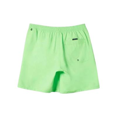Quiksilver Everyday Solid Volley 15 AQYJV03153-GGY0 Yeşil Şort