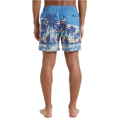 Quiksilver Everyday Straıght Volley 15 EQYJV04121-BLQ8 Mavi Şort