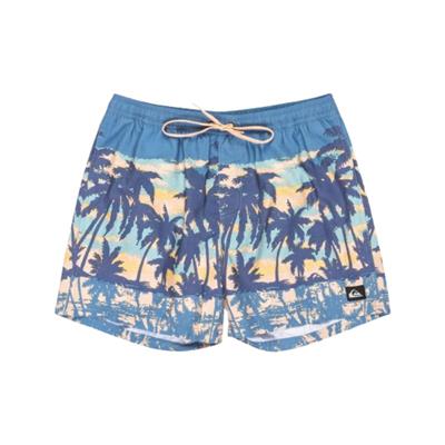 Quiksilver Everyday Straıght Volley 15 EQYJV04121-BLQ8 Mavi Şort