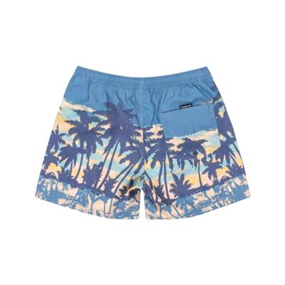 Quiksilver Everyday Straıght Volley 15 EQYJV04121-BLQ8 Mavi Şort