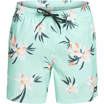 Quiksilver Mıx 17 M Jamv EQYJV04002-GCZ6 Yeşil Şort