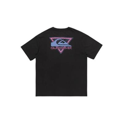 Quiksilver Take Us Back Logo Ss EQYZT07654-12814 Gri Tişört